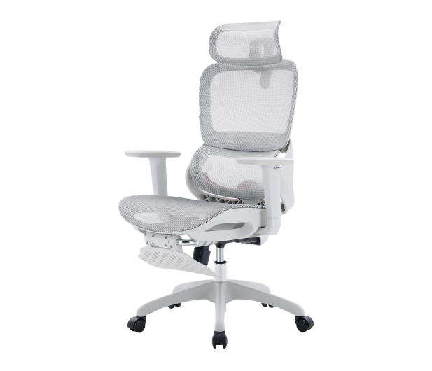 Sihoo B100 Mesh biały z podnóżkiem - 1605508 - zdjęcie 2